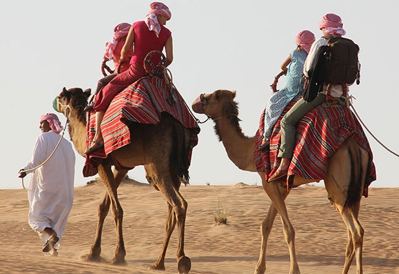 CAMEL RIDE IN DUBAI