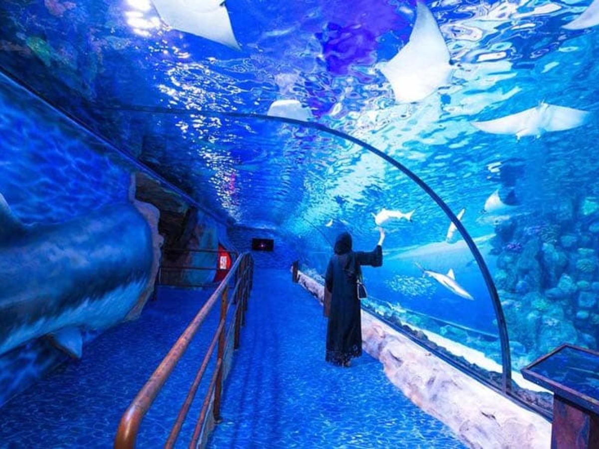 Dubai Aquarium Tickets Book Dubai Mall Aquarium And Underwater