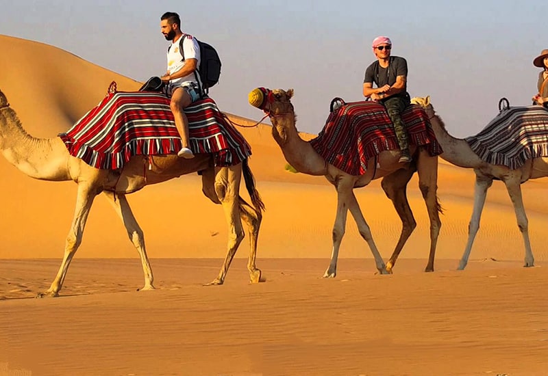 Camel Ride In Dubai